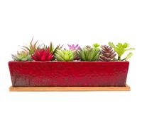 Artketty Grand Pot de Fleurs rectangulaire en céramique de 30,5 cm avec Plateau de Drainage, pour Cactus d'intérieur, Plantes succulentes, bonsaï Peu Profond, décoration de Jardin