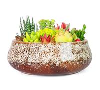 ARTKETTY Grand Pot de Fleurs succulentes - 20 cm de Large Pots de bonsaï avec Drainage - Pots en céramique pour Plantes d'intérieur et d'extérieur - Pot Rond Peu Profond pour Fleurs de Cactus et