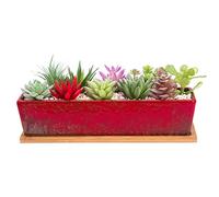 ARTKETTY Grands Pots de Plantes succulentes avec Drainage, Pot de bonsaï rectangulaire de 30,5 cm de Long avec Plateau Peu Profond en céramique Cactus Fleur Plante fenêtre pour Jardin à la Maison