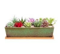 ARTKETTY Grands Pots de Plantes succulentes avec Drainage, Pot de bonsaï rectangulaire de 30,5 cm de Long avec Plateau Peu Profond en céramique Cactus Fleur Plante fenêtre pour Jardin à la Maison