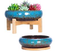 ARTKETTY Lot de 2 Grands Pots de Fleurs colorés en céramique pour Plantes succulentes 18,5/25 cm avec Plateau