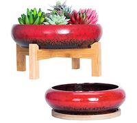 ARTKETTY Lot de 2 Pots de Fleurs d'intérieur en céramique pour Plantes succulentes colorées - 18,5/25 cm - pour Plantes succulentes - pour Cactus et Jardin