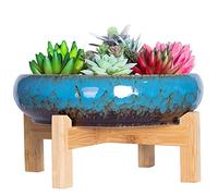 ARTKETTY Pot de Fleurs, Grand Pot de Succulentes avec Drainage Pot de Bonsaï Rond avec Support Pot en Céramique pour Plantes Cactus