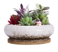 ARTKETTY Pot de Fleurs, Grand Pot de Succulentes de 15,5 Cm avec Drainage Pot Rond de Bonsaï et Plateau Pot en Céramique pour Plantes de Cactus