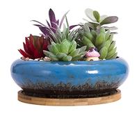 ARTKETTY Pot de Fleurs, Grand Pot de Succulentes de 15,5 Cm avec Drainage Pot Rond de Bonsaï et Plateau Pot en Céramique pour Plantes de Cactus