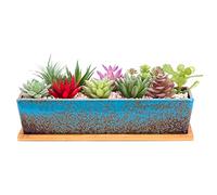 ARTKETTY Pots de Fleurs succulentes rectangulaires de 30 cm de Long avec Plateau de Drainage, Grands Pots de Fleurs Cactus en céramique pour intérieur/extérieur, bonsaï, décoration d'intérieur, Bleu
