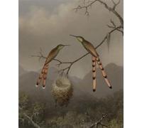ARToPHIIU Art Imprimé Image Peinture Murale Art Impression Tableaux Deux colibris avec leurs petits par Mrtinss Johnson Heade Images Abstraites Pour les Décorations pour la Maison 60x90cm
