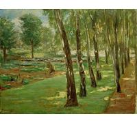 ARToPHIIU Art Imprimé Image Peinture Murale Art Impression Tableaux la Birch Alley dans le Wannseegarten Vue du Kohlfeld par Max Liebermann Pour les Décorations pour la Maison 60x90cm