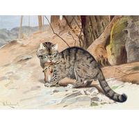 ARToPHIIU Image sur Toile Moderne Impression Tableaux Portrait Tableaux Chat sauvage de Wilhelm Kuhnert Peinture sur Toile Pour la Décoration de la Chambre à Coucher 60x90cm