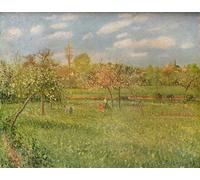 ARToPHIIU Impression Tableaux Mural Peinture Art Impression Arbres fruitiers au soleil matinal d'Eragny par Camille Jacob Pissarro Tableau Decoracion Murale Pour la Décoration Murale 60x90cm