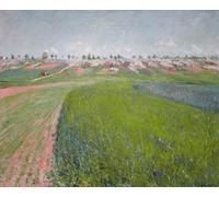 ARToPHIIU Impression Tableaux Mural Peinture Art Impression Forme Uniche Della Continuità Nello Spazio par Umberto Boccioni Tableau Decoracion Murale Pour la Décoration Murale 60x90cm