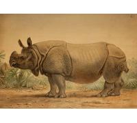ARToPHIIU Vintage Impressions sur Toile Affiche Mural Art Tableaux sur Toile Rhinocéros indien par Wolf Posters Impressions Pour la Décoration du Salon 60x90cm