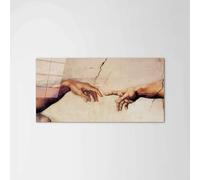 Artopweb CrystalArt 50 × 100 cm Tableau Plexiglass effet verre brillant léger prêt à accrocher décoration maison art design italien écologique - Homage to Michelangelo - Creation of Adam I