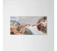 Artopweb CrystalArt 50 × 100 cm Tableau Plexiglass effet verre brillant léger prêt à accrocher décoration maison art design italien écologique - Homage to Michelangelo - Creation of Adam