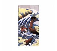 Artopweb CrystalArt 50 × 100 cm | Tableau Plexiglass effet verre brillant, prêt à accrocher | Décoration maison Art Eco-Friendly - Waterfall and Horse Washing par Hokusai Katsushika