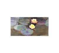 Artopweb CrystalArt 50 x 100 cm Tableau Plexiglass Effet Verre Brillant Léger Prêt à Suspendre Décoration Maison Art Design Italien Eco-Friendly - Homage to Monet - Nympheas I de Art Studio