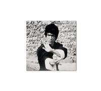 Artopweb CrystalArt 50 x 70 cm | Tableau Plexiglass effet verre brillant, léger et prêt à accrocher | Décoration de la maison Art Design Italien Eco-Friendly - Homage to Bruce di Art Studio