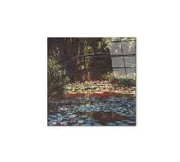 Artopweb CrystalArt 50 x 70 cm | Tableau Plexiglass effet verre brillant, léger et prêt à accrocher | Décoration de la maison Art Design Italien Eco-Friendly - Water Lily Pond I de Monet Claude