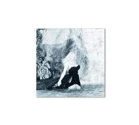 Artopweb CrystalArt 50 x 70 cm | Tableau Plexiglass effet verre brillant, léger et prêt à accrocher | Décoration maison Art Design Italien Eco-Friendly - Homage to Anita in the Water par Art Studio