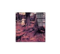 Artopweb CrystalArt 58 x 58 cm Tableau Plexiglass effet verre brillant léger prêt à accrocher décoration maison art design italien écologique - Girl in White in the Woods par Van Gogh Vincent