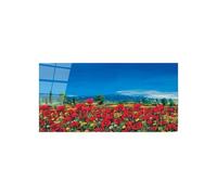 Artopweb CrystalArt Art Studio 50 x 100 cm Tableau Plexiglass Effet Verre Brillant Léger Prêt à Suspendre Décoration Maison Art Design Italien Eco-Friendly - Red Poppies III