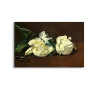 Artopweb EarthArt Materic 53 × 80 cm Tableau matériel 3D effet pinceau léger prêt à accrocher décoration maison art design italien écologique - Still life, White Peony by Manet Édouard