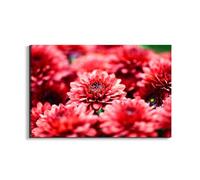 Artopweb EarthArt Plain 53 × 80 cm Cadre Fine Art Mat Anti-Réflexe Léger Prêt à Suspendre Décoration Maison Art Design Italien Eco-Friendly - Red Flowers of Art Studio