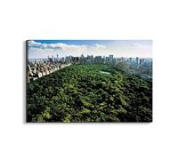 Artopweb EarthArt Plain 53 × 80 cm Cadre Fine Art Mat Anti-Réflexe Léger Prêt à Suspendre Décoration Maison Art Design Italien Eco-Friendly - New York, Central Park d'Art Studio