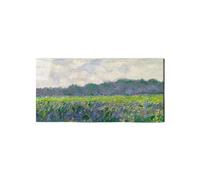 Artopweb EarthArt Total Gloss 50 × 100 cm Tableau brillant à miroir léger, prêt à accrocher, décoration de maison, art design italien écologique - Field of Yellow Irises par Monet Claude