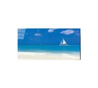 Artopweb EarthArt Total Gloss 50 × 100 cm Tableau brillant à miroir léger, prêt à accrocher, décoration de la maison, art design italien écologique - Beach Charming par Art Studio