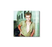 Artopweb EarthArt Total Gloss 50×70 cm | Tableau brillant à miroir, léger et prêt à accrocher | Décoration de la maison Art Design Italien Eco-Friendly - James Dean I di Art Studio