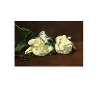 Artopweb MetalArt Materic 53 × 80 cm Tableau matériel 3D effet pinceau robuste prêt à accrocher décoration maison art design italien écologique - Still life, White Peony by Manet Édouard