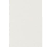 Artoz Serie 1001 Lot de 50 feuilles de papier nervuré Ivoire 100 g/m² Format A4 297 x 210 mm