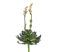 artplants.de Aeonium artificelle sur Piquet, Fleurs Roses, 30cm - Plante grasse Artificielle - Petite Plante Verte