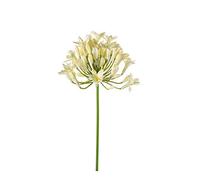 artplants.de Agapanthe Artificielle PHILINA, crème, 75cm, Ø 14cm - Fleur Artificielle - Fleur Plastique déco