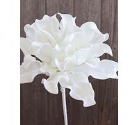 artplants.de Agave Artificiel DANINA, Blanc, 35cm, Ø30cm - Plante succulente Agave décoratif