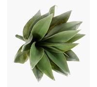 artplants.de Agave Artificielle, Vert, 30cm