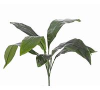 artplants.de Aspidistra Artificiel Vasco sur Piquet, 55cm - Faux Palmier/Plante Artificielle