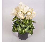 artplants.de Cyclamen Artificiel en Pot, Blanc crème, 12 Fleurs, 25cm - Plante Artificielle en Pot - Fleur Artificielle