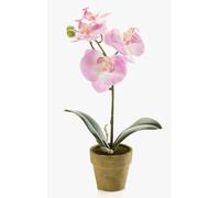 artplants.de Orchidée Artificielle Phalaenopsis, Rose, 25cm