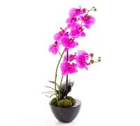artplants.de Orchidée Phalaenopsis Artificielle Melina, Violet, 45cm