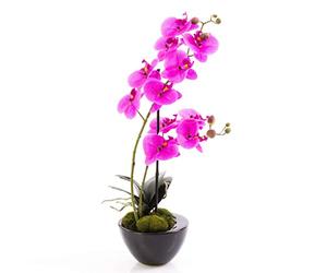 artplants.de Orchidée Phalaenopsis Artificielle Melina, Violet, 45cm