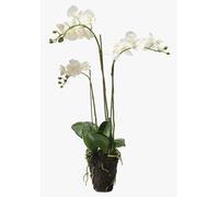 artplants.de Orchidée Phalaenopsis Artificielle Pabla en Motte, 70cm