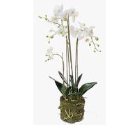 artplants.de Orchidée Phalaenopsis Artificielle Pabla en Motte, 80cm
