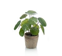 artplants.de Pilea peperomioides Artificiel Sybil en Pot en Terre Cuite, Vert, 20cm - Plante grasse Artificielle/Plante succulente Artificielle