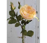 artplants.de Rosier Artificiel OLIVERA, Jaune Abricot, 30cm, Ø9cm - Fleur Artificielle