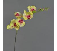 artplants.de Tige Artificielle d’orchidée phalaenopsis, Jaune-Rose, 90cm