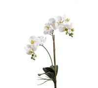 artplants.de Tige de phalaenopsis Candida avec Quelques Feuilles, Blanc, 65cm - Fausse orchidée - Fleur Artificielle