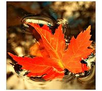 ArtPlaza Art Studio-Foglia d'autunno Panneaux Decoratifs, Bois MDF, Multicolore, 30x30 Cm