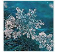 ArtPlaza Art Studio-Snow Panneaux Decoratifs, Bois MDF, Multicolore, 30x30 Cm